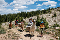 Llam-Backpacking-7