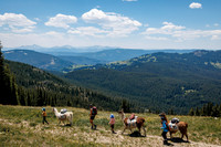 Llam-Backpacking-10