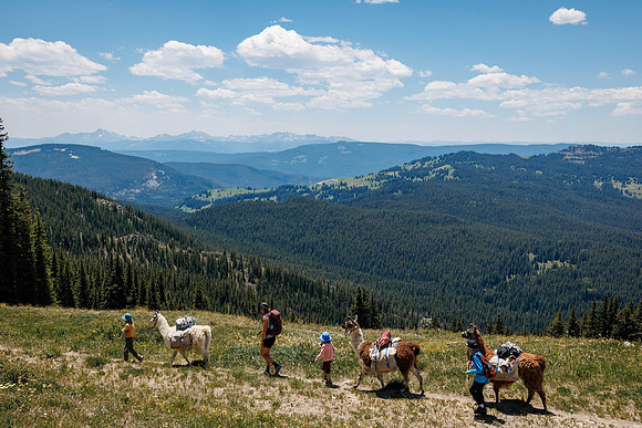 Llam-Backpacking-10