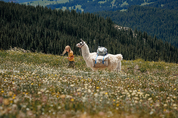 Llam-Backpacking-12