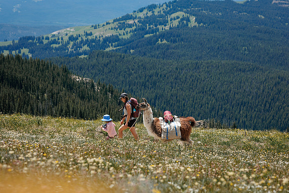 Llam-Backpacking-13