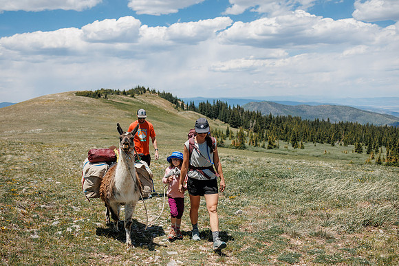 Llam-Backpacking-26