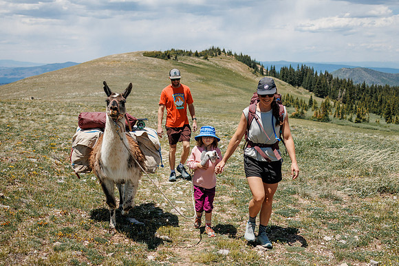 Llam-Backpacking-27