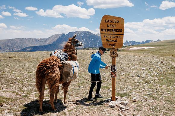 Llam-Backpacking-35