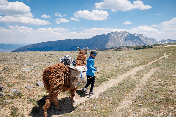 Llam-Backpacking-39