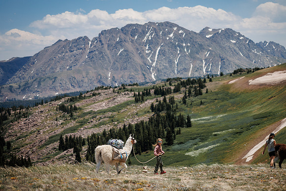 Llam-Backpacking-41