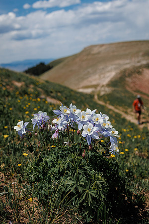 Llam-Backpacking-47