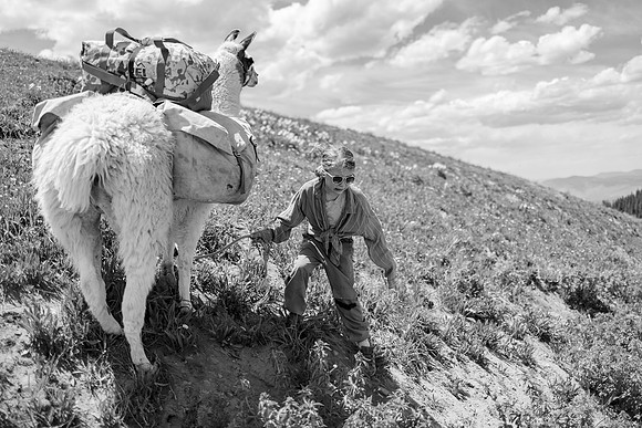 Llam-Backpacking-48
