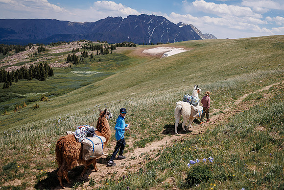 Llam-Backpacking-49