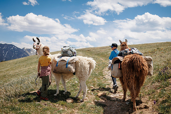 Llam-Backpacking-50