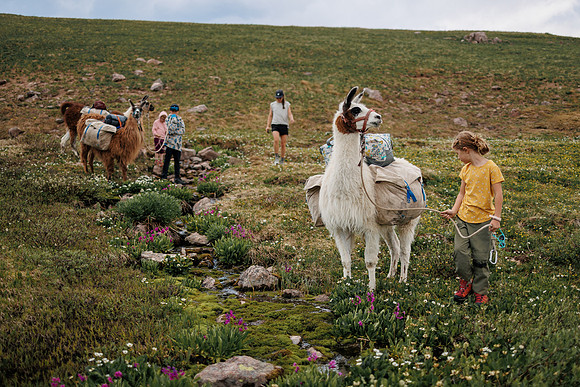 Llam-Backpacking-73