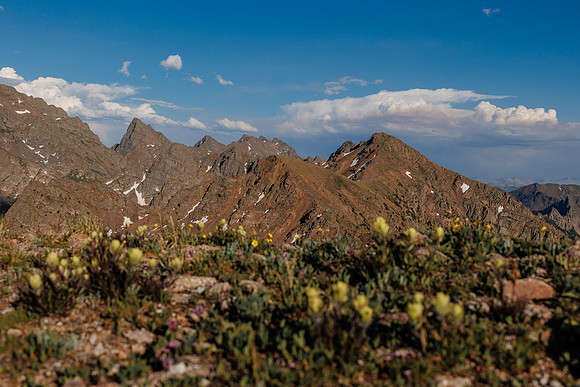 Llam-Backpacking-138