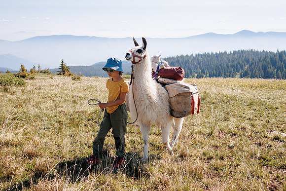 Llam-Backpacking-142
