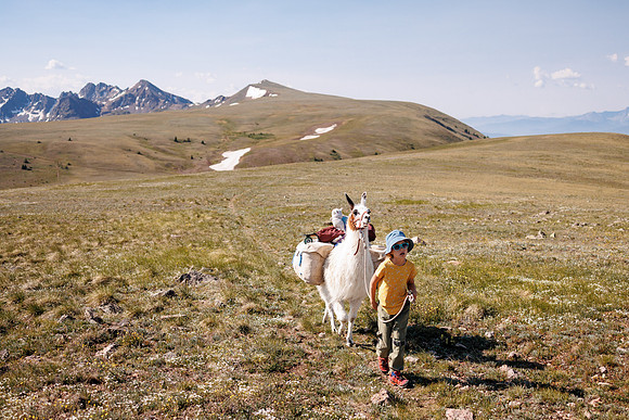 Llam-Backpacking-145