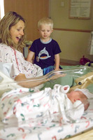 Stella-8