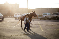 horse-color-11