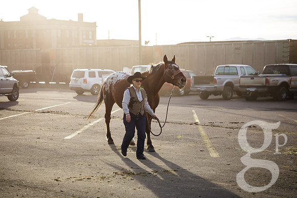 horse-color-11