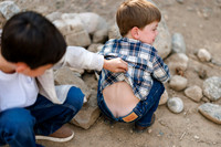 Birnbery_2026-Favs-16