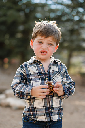 Birnbery_2026-50