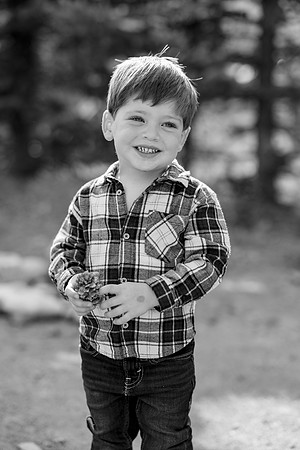 Birnbery_2026-52