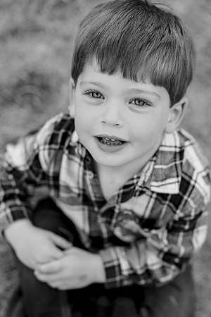 Birnbery_2026-124