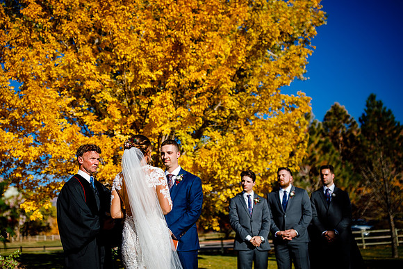 Andrew_Morgan_Wdg-Favorites-88