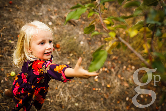 Estes_Family_Fall2016-Edited-94