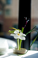 C-D_Welcome-7