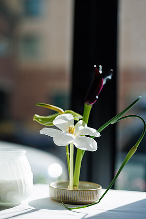 C-D_Welcome-7