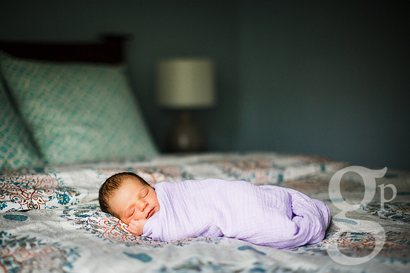 Lulu_Newborn-6