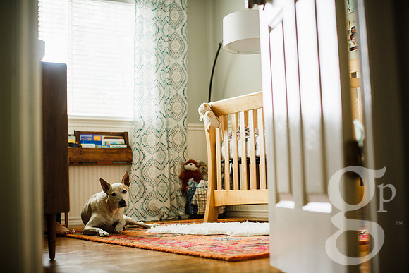 Lulu_Newborn-5