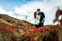 J_C_Favs-16