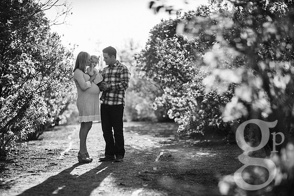 Schultz_Family_2016-Edited-46