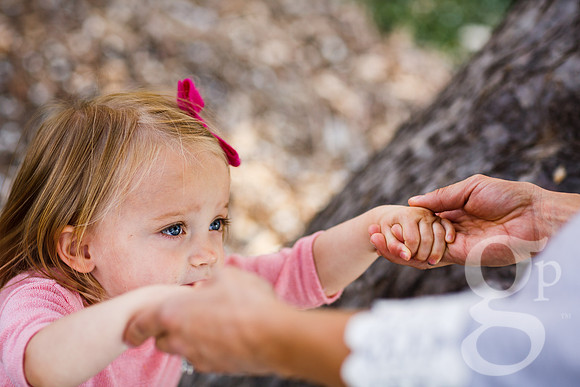 Schultz_Family_2016-Edited-70