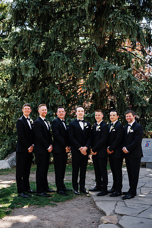 D-T_Group-35