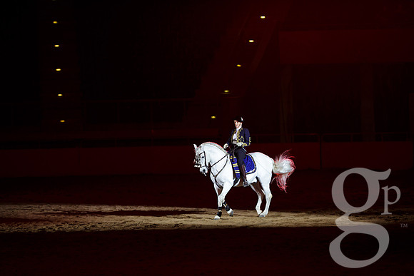 horse-color-36