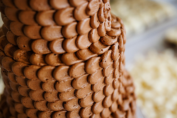 Scott_Lauren-Detail-74