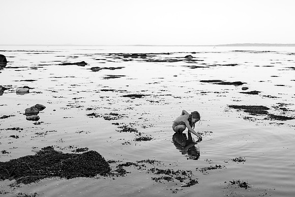 Maine-106
