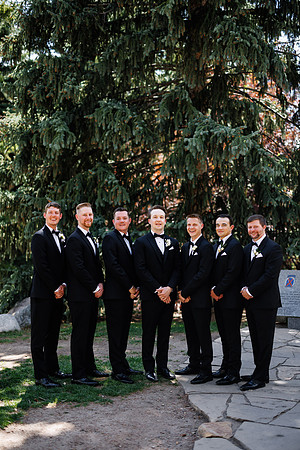 D-T_Group-33