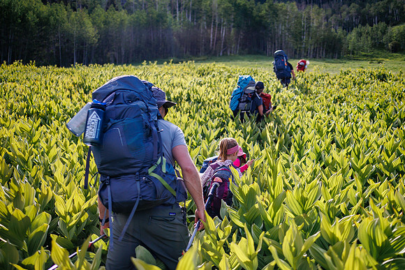Gillespie-Backpacking-32