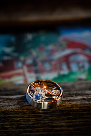 Shane_Christin_Wdg-Edited-22