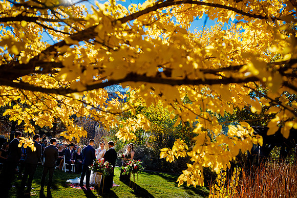 Andrew_Morgan_Wdg-Favorites-84