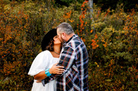 Shelly_cody-eng-favs-18