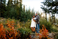 Shelly_cody-eng-favs-20