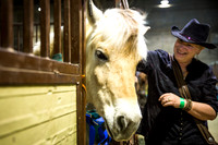 horse-color-3