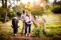 Ferguson_Maternity-Favs-12