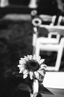 Schwartz-BW-4