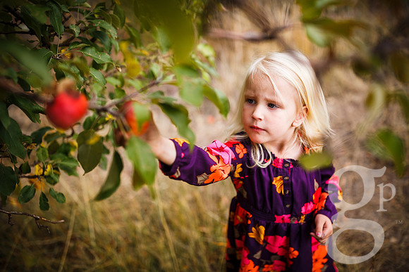 Estes_Family_Fall2016-Edited-121