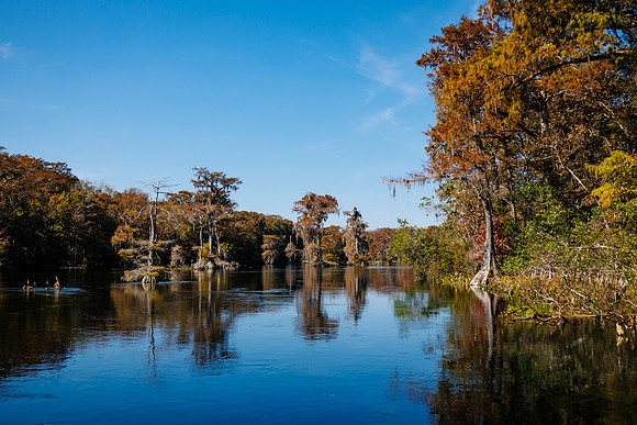 Florida_11-23-38