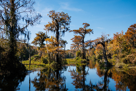 Florida_11-23-37